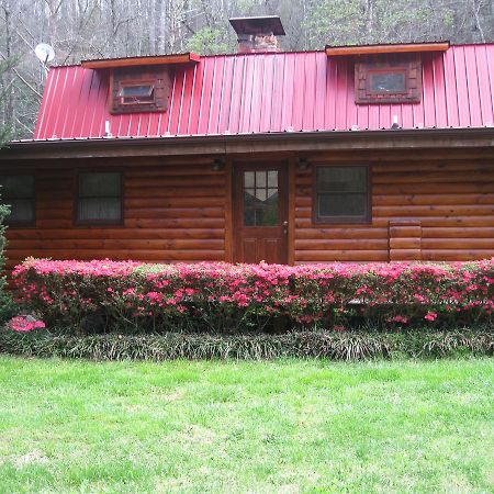 Buffalo Creek Bed And Breakfast Robbinsville Extérieur photo